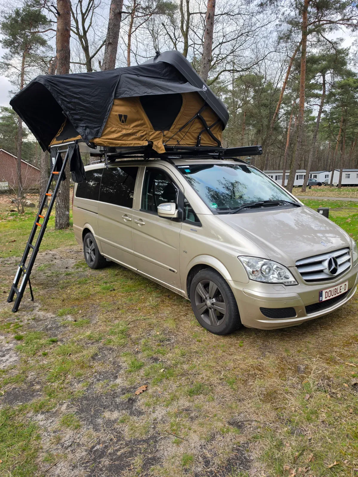 Vickywood Mighty Oak 190 roof tent
